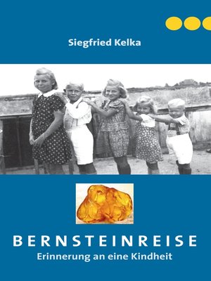 cover image of Bernsteinreise